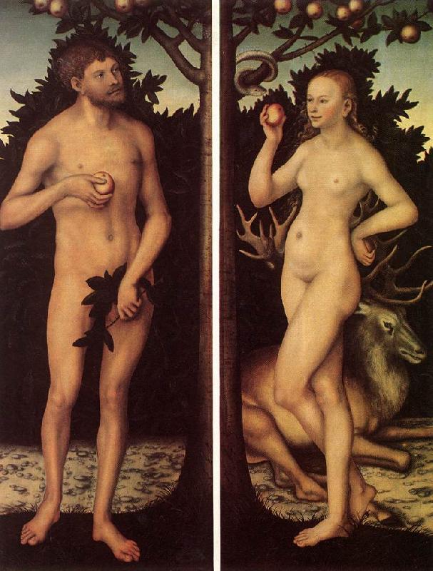 CRANACH, Lucas the Elder Adam and Eve 03 oil painting picture